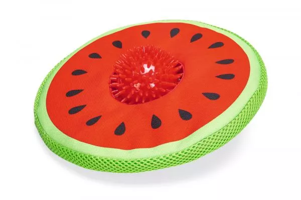 Wasserspielzeug - Melone (Frisbee) inkl. Igelball